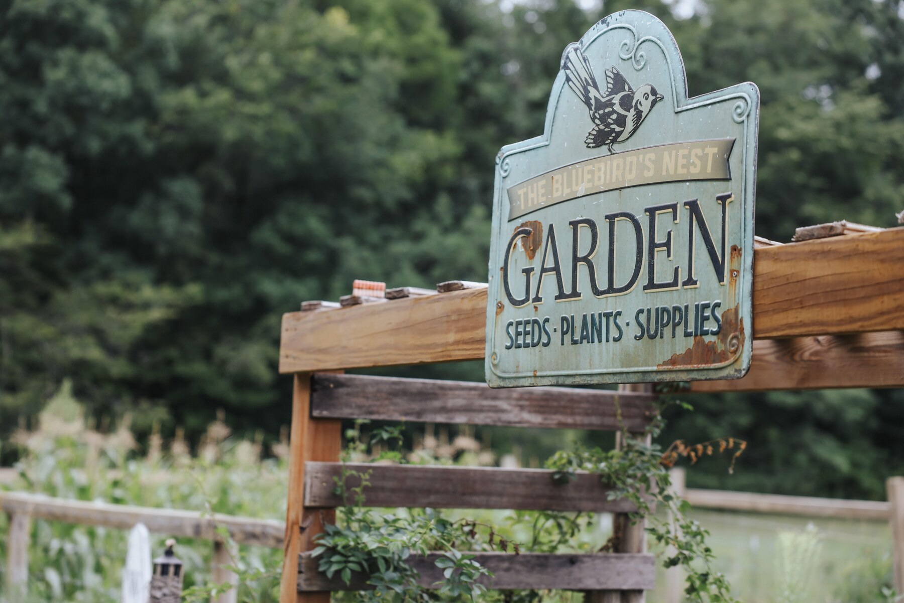 The Bluebird's Nest garden sign